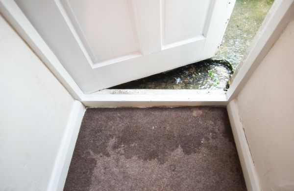 Wet Carpet Restoration in Arvada