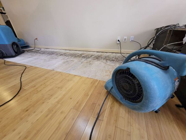 Water Damage Mitigation in Arvada