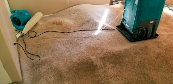 Carpet Water Extraction in Arvada