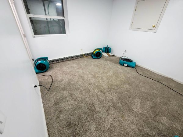 Flood Restoration Service in Arvada