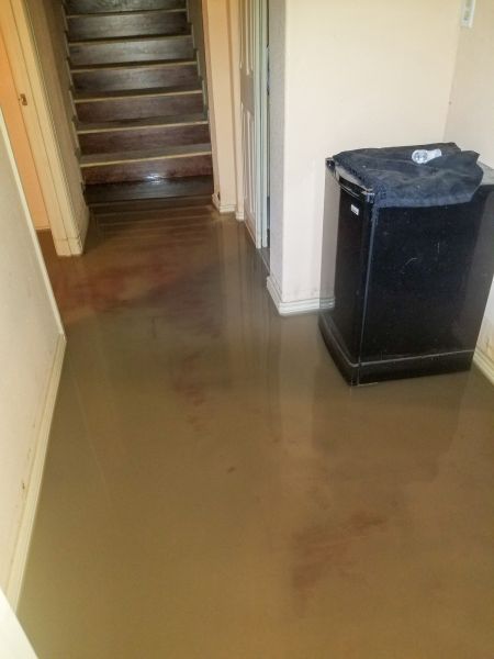 Emergency Water Removal in Arvada