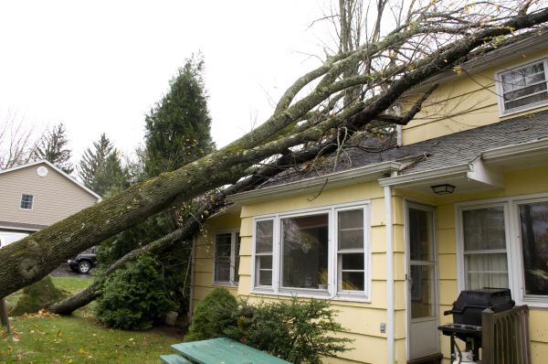 Hurricane Damage Repair in Arvada